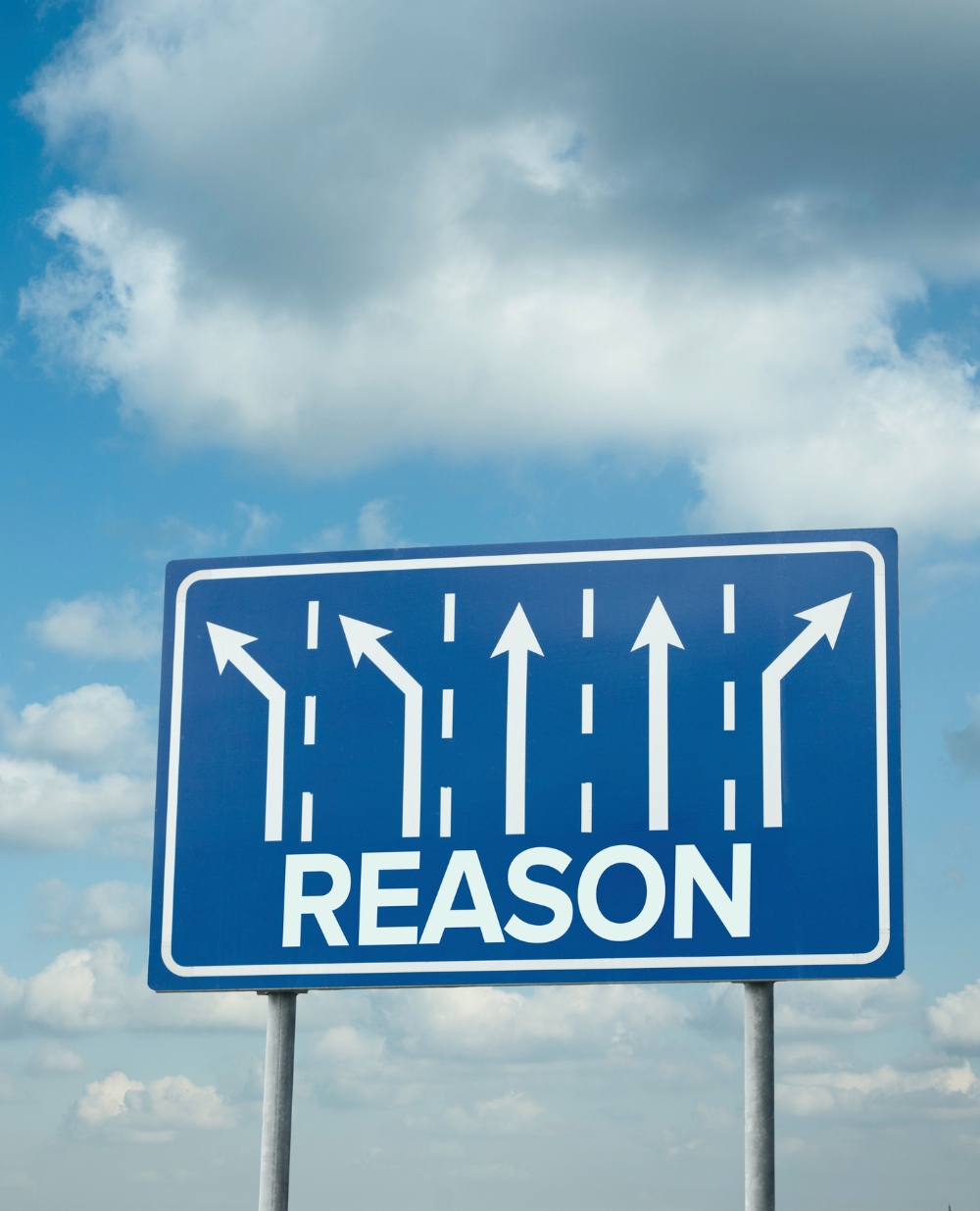 Blue road sign with multiple white arrows and the word "REASON" symbolising different paths leading to a single idea of what is reasonable.